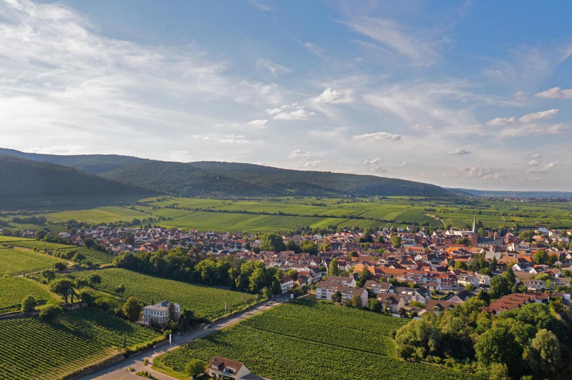 Deidesheimer Haus Exteriör bild